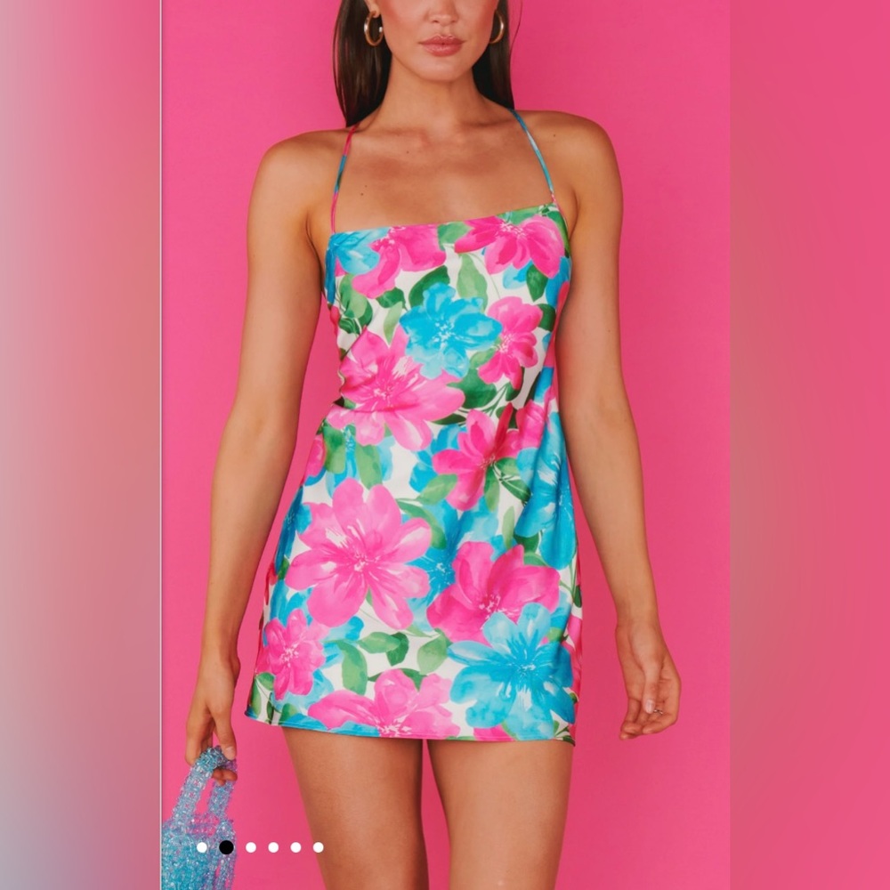 Show Me Your MuMu Pink & Blue Floral Dani Mini Dress